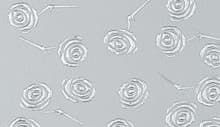 3D ROSES Silver s