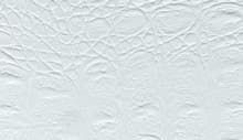 LL CROCO White s
