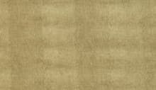 Leguan Gold s